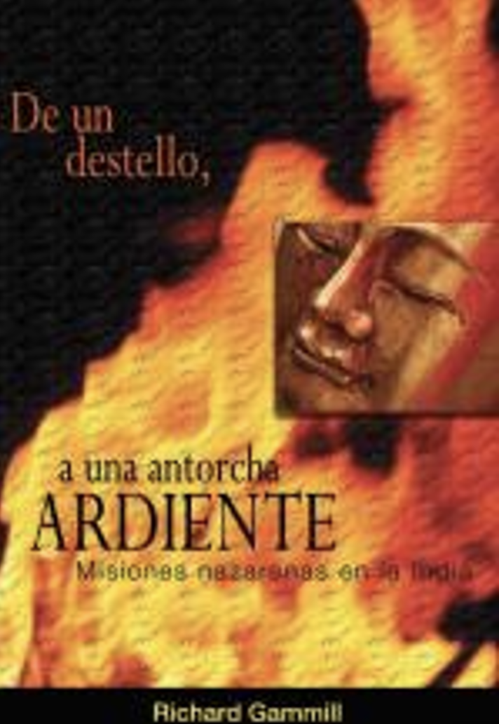 De un Destello a una Antorcha Ardiente